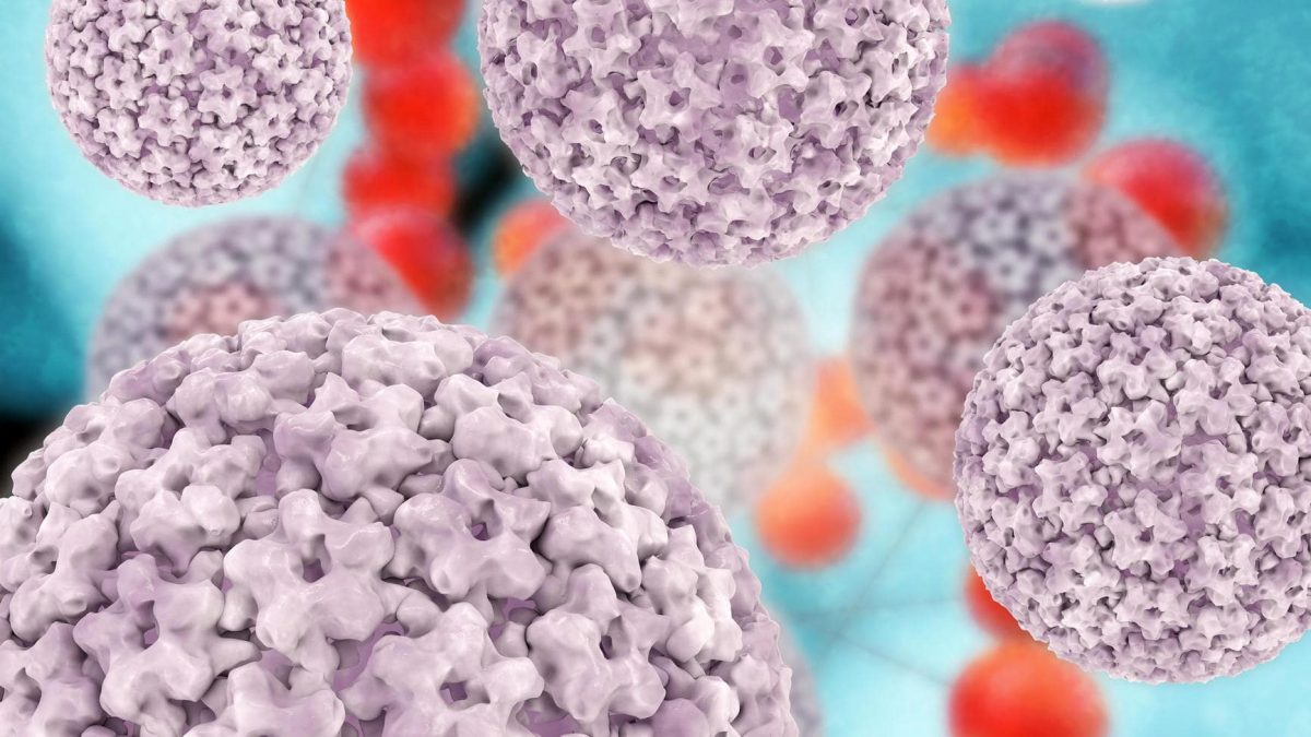 درمان زگیل تناسلی با شیتاکه در 6 ماه ! – درمان HPV با شیتاکه