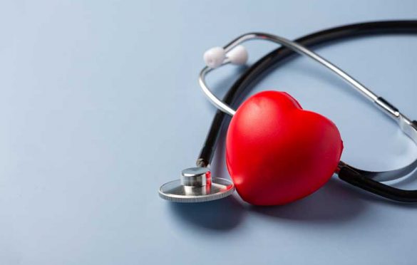 گانودرما برای بیماری های قلبی عروقی