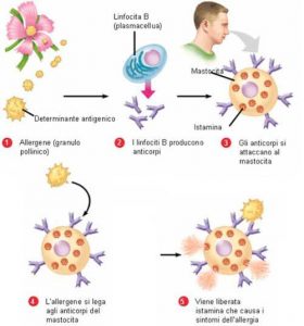 آلرژی - حساسیت فصلی